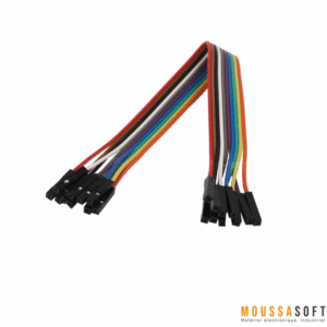 Établissez des connexions rapides et fiables avec notre ensemble de câbles jumper F/F 20 cm.