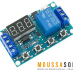 Relais de Temporisation HCW-M421 à 5V
