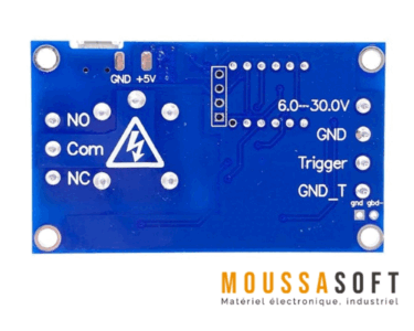 Hcw M421 Relais temporisé HCW-M421 5V - Moussasoft