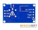 Relais de Temporisation HCW-M421 à 5V