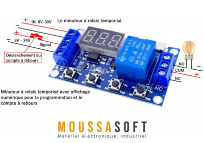 Relais Temporisé HCW-M421 de 1 canal avec micro USB 5V