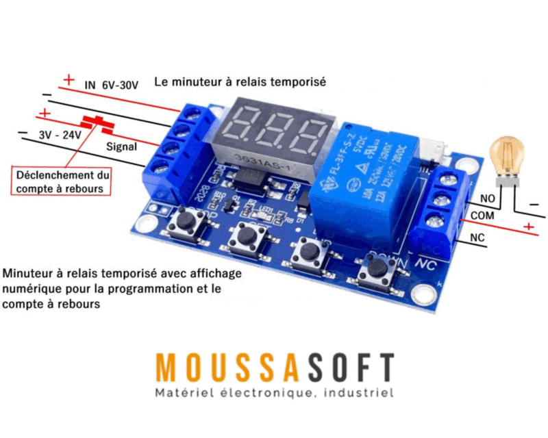 Relais Temporisé HCW-M421 de 1 canal avec micro USB 5V