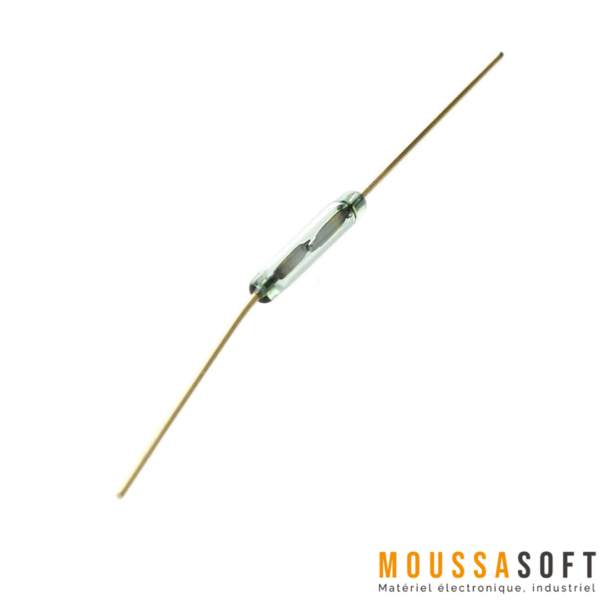 Capteur Magnétique Reed pour automatisation et sécurité Maroc.