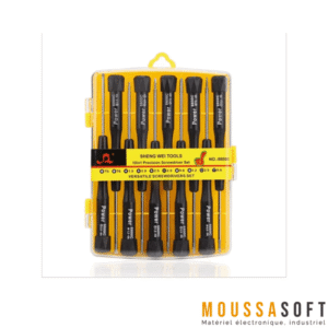 Ensemble de tournevis de précision Sheng Wei 8800C 10 en 1, kit complet pour travaux fins, Maroc