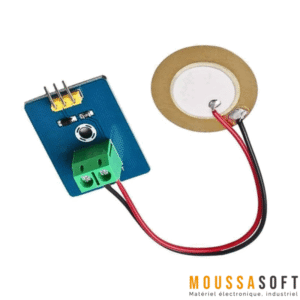 Capteur de vibration Piézoélectrique au Maroc.