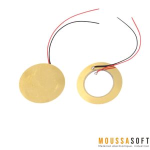 Piezo Buzzer 50 mm Passif